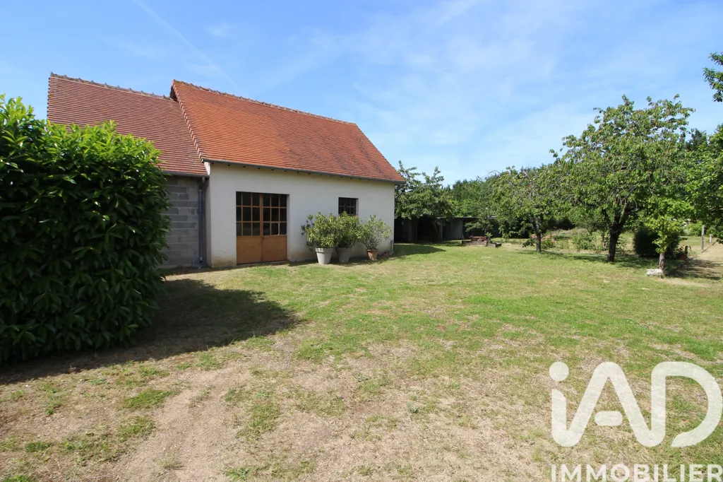 Aed - Traditional House with Pool near Chatellerault