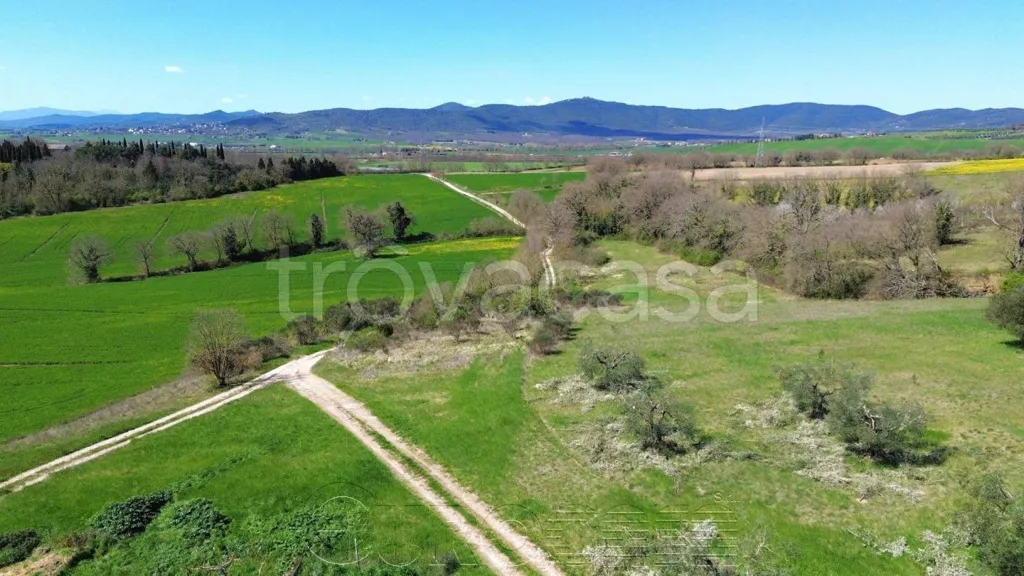 Õhuvaade - Rustic Casale with Olive Grove near Perugia