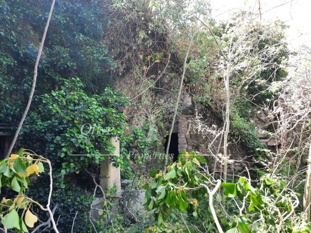 Jardin - 18th Century Manor for Restoration in Binissalem