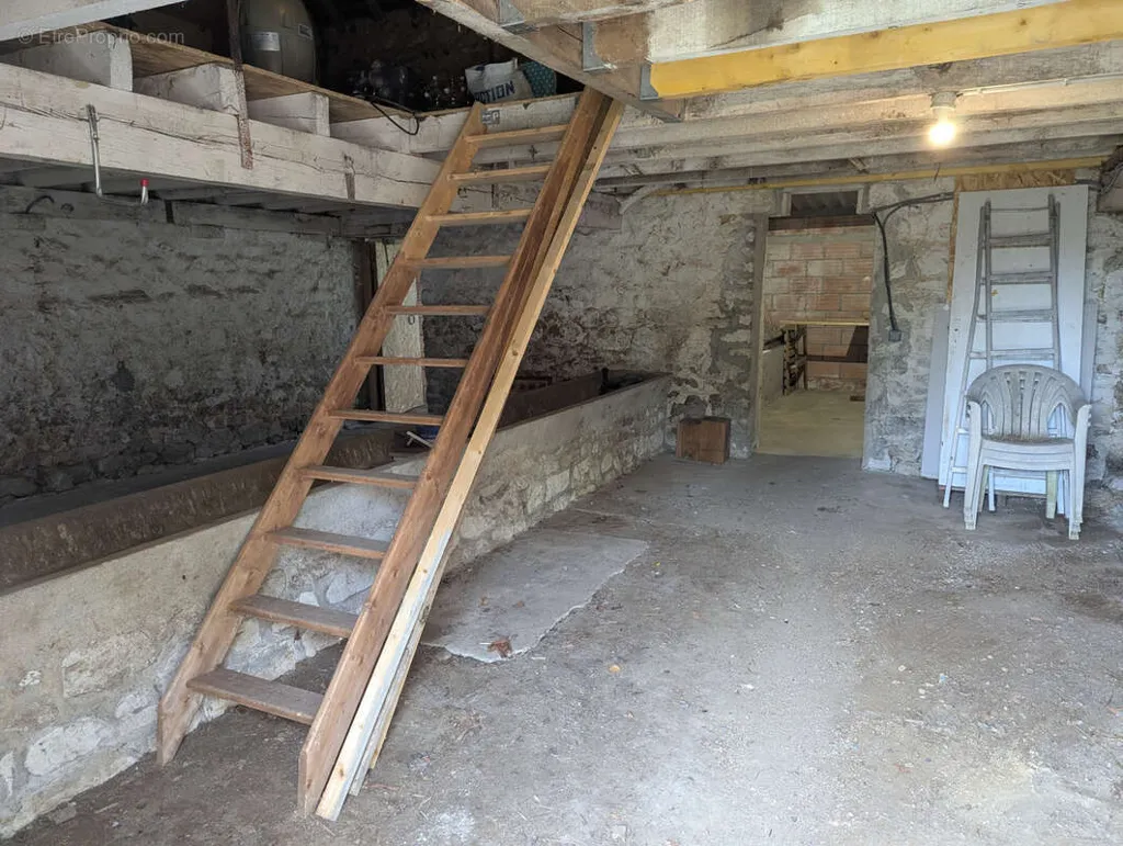 cellar