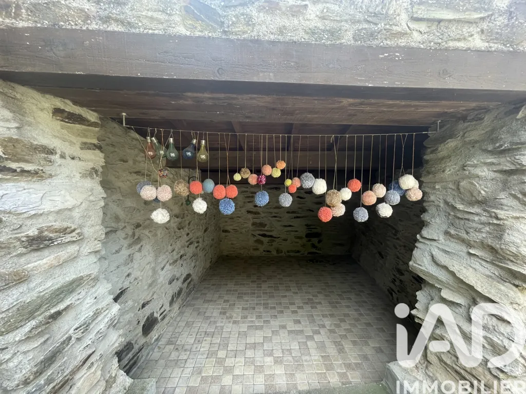 Toad - Village House with Pyrenees View in Limousis
