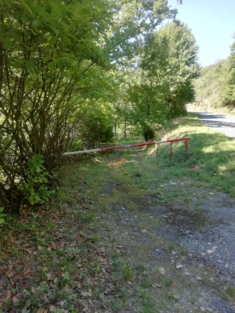 Garden - Leisure Plot with Mobilhome in Plaisance