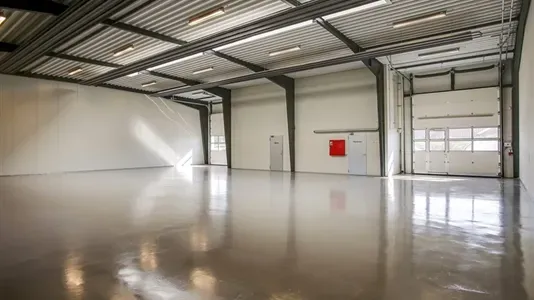 Toad - Commercial Space for Rent in Hobro