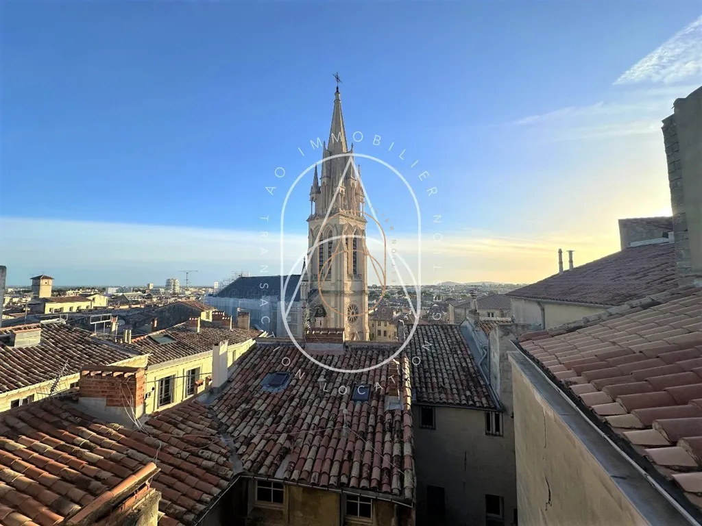 Toad - Type 3 Apartment with Rooftop View in Montpellier
