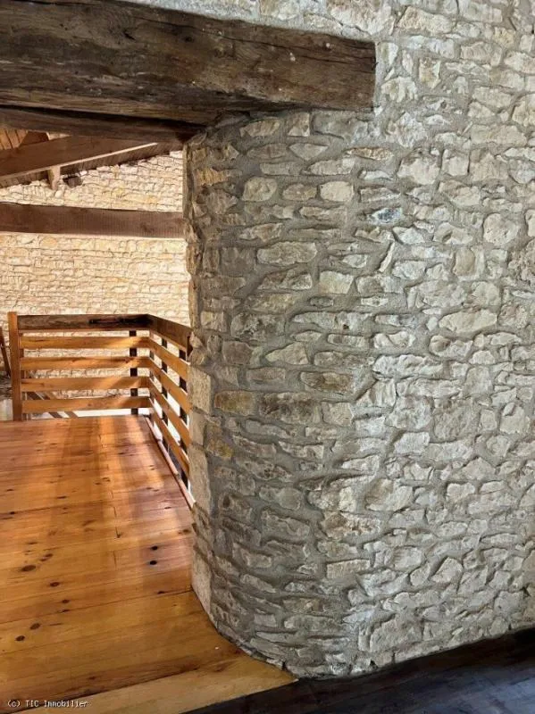 Toad - Spacious House with Large Garden in Cellefrouin