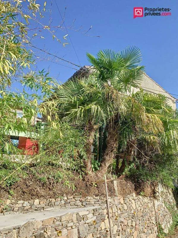 Exterior - Charming House with Terraces in Le Vigan