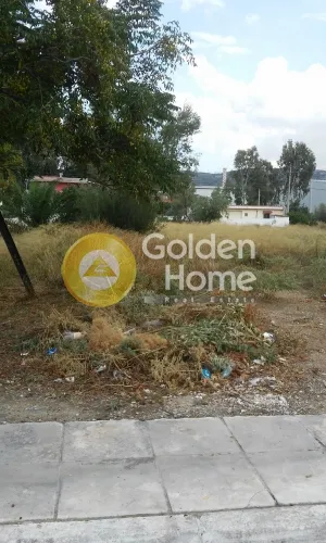 Garden - Plot with Sea View in Aspropyrgos