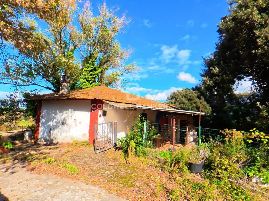Extérieur - Rustic Estate with Lake in Vinci, Tuscany