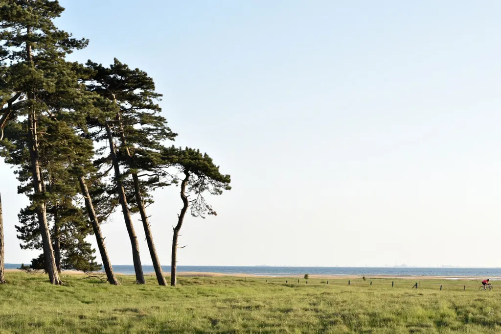 Three Plots with Nature Near Hofterup