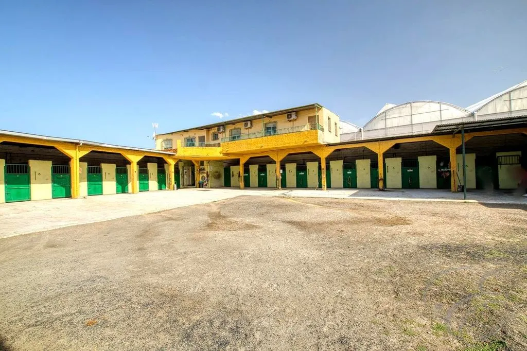 Aed - Equestrian Centre with Coastal Proximity in Torre del Mar