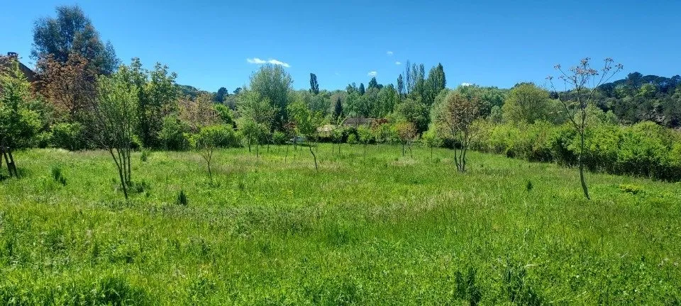 Jardin - Terrain à Bâtir avec Vue sur Jardin à Tourves