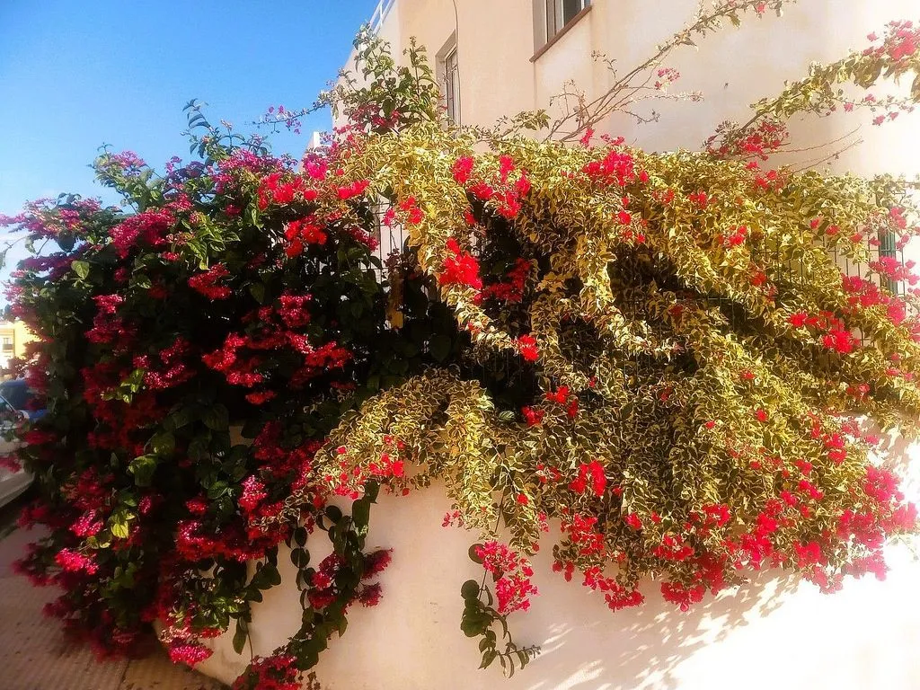 Extérieur - Corner Penthouse with Sea View in Palomares