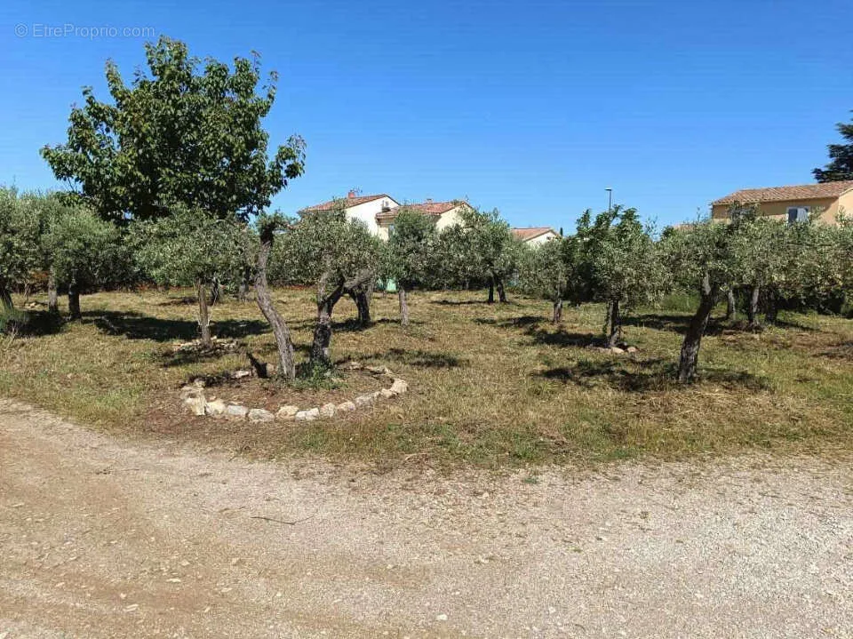 Aed - South-Facing Plot with Unobstructed View in Aubignan
