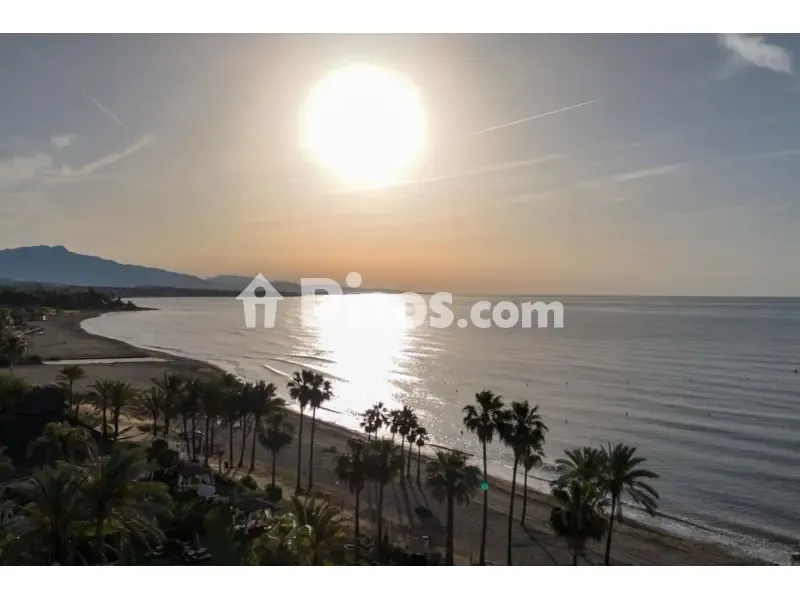 Luxury Apartment with Jacuzzi Terrace in Estepona