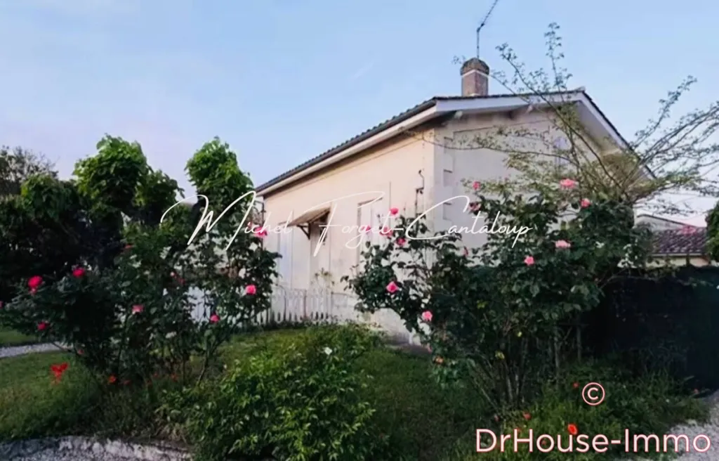 Välivaade - 6-Piece Building with Rental Potential in Libourne