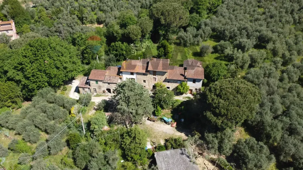 Vue aérienne - Tuscan Hamlet with Olive Groves in Vinci