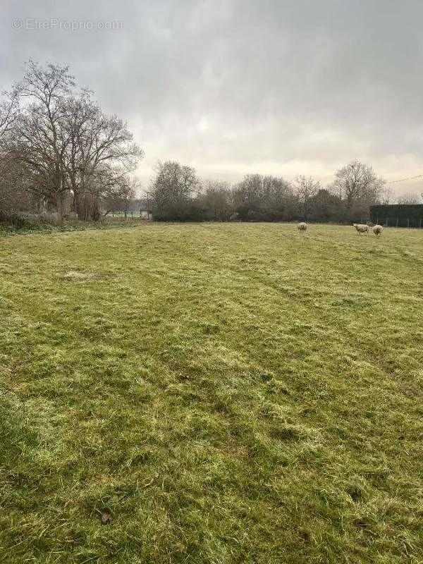 Giardino - Extensive Land in Roquelaure
