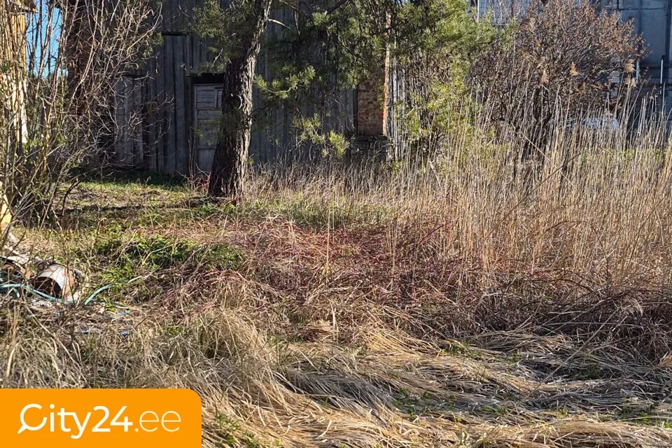 Maa asukohas Saaremaa vald