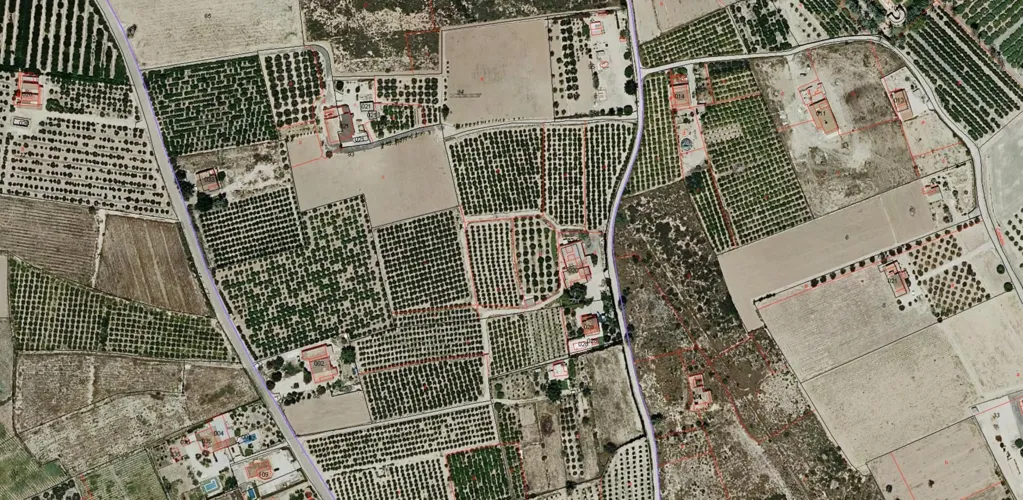 Rustic Finca with Development Potential in Elche