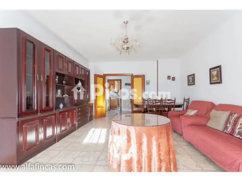 Soggiorno - Apartment with Terrace in San Clemente Centre