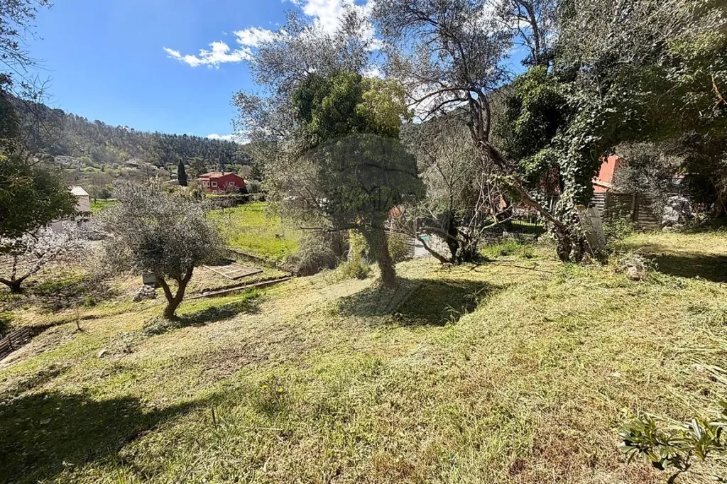 Aed - Constructible Plot with South Exposure in Tourrette-Levens