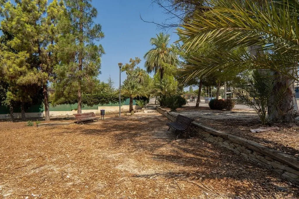 Detached House with Pool in Molina de Segura