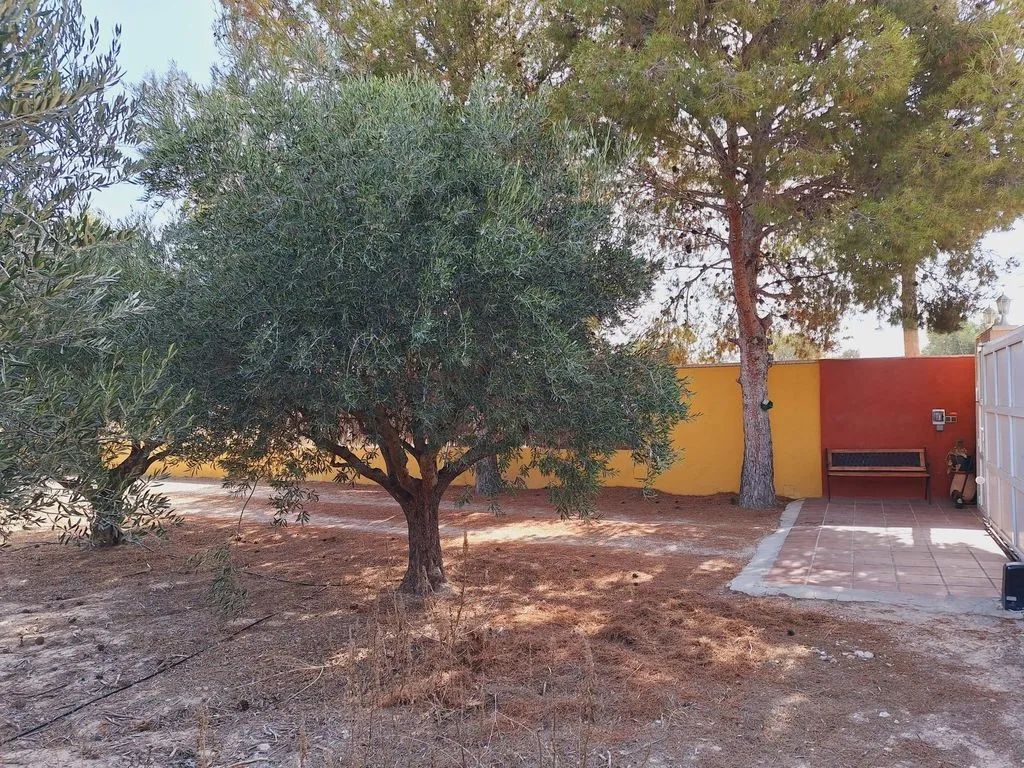 Aed - Detached House with Pool in Alicante