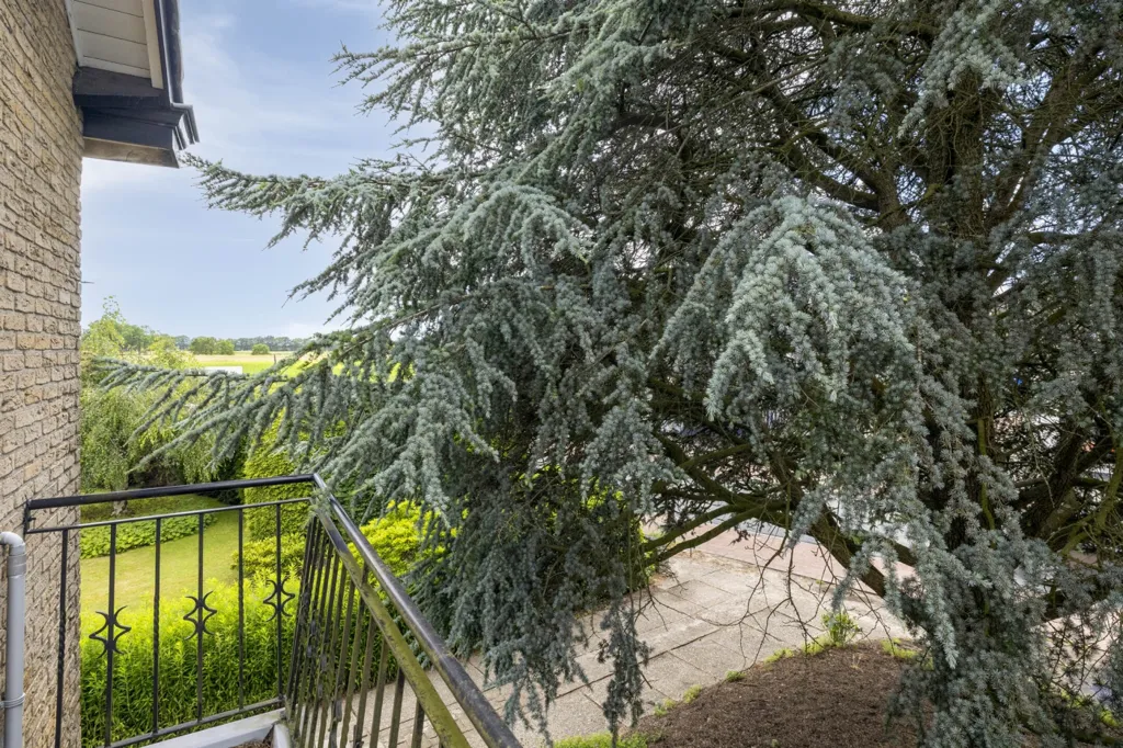 Aed - Free-Standing House with Garden in Breda