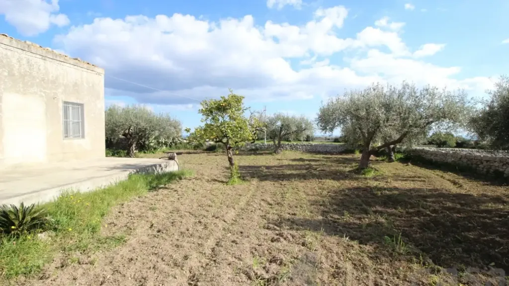 Välivaade - Rustic Farmhouse with Olive Grove near Rosolini