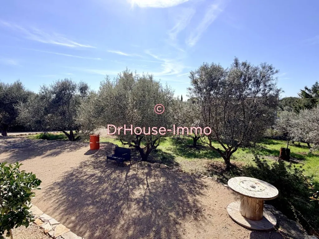 Jardin - Villa de Prestige avec Piscine à Lorgues