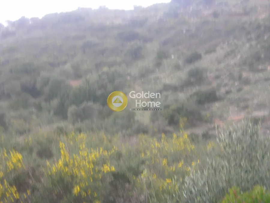 Aed - Agricultural Plot with Sea and Forest Views in Vasilikos