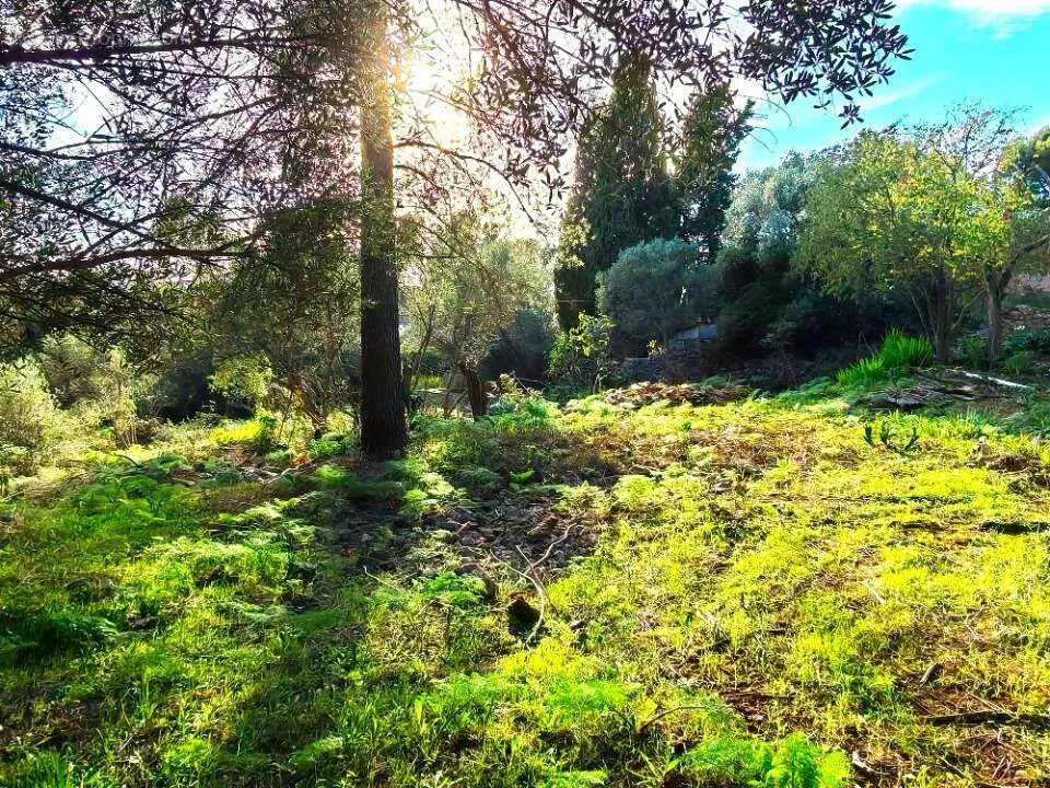 Aed - Buildable Plot with Garden in Toulon