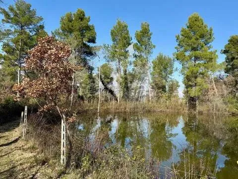 Jardin - Rustic Podere with Olive Grove near Spoleto