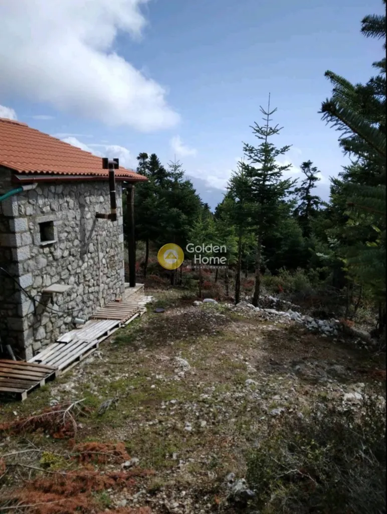 Välivaade - Apartment with Unrestricted View in Delphi Centre