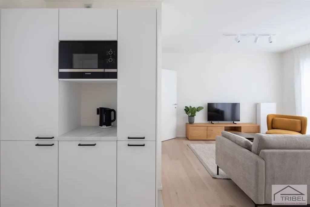 Soggiorno - Furnished Flat with Terrace in Brussels