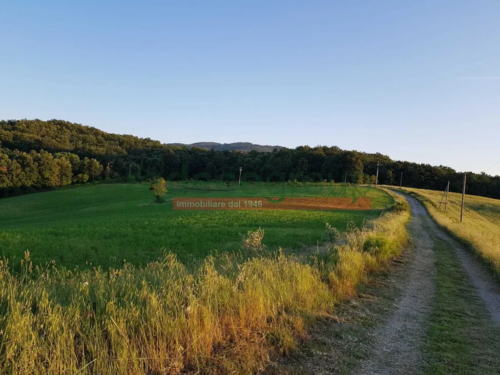 Aed - Tuscan Villa with Garden in Collesalvetti