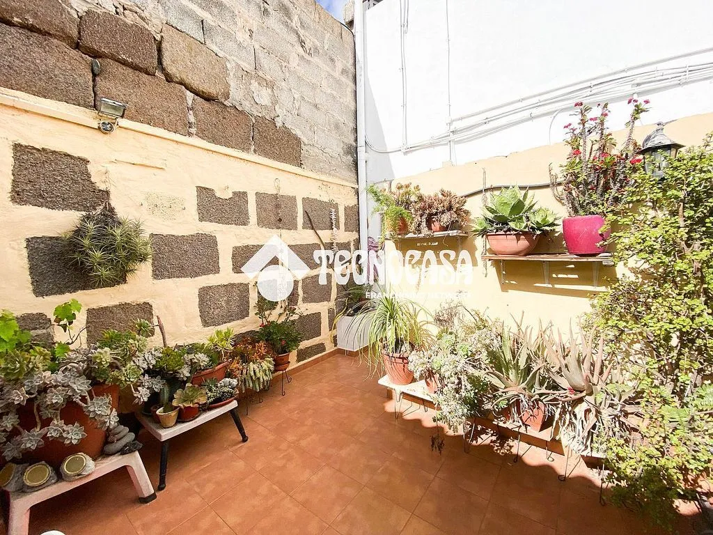 Jardin - Apartment with Terrace in Gáldar