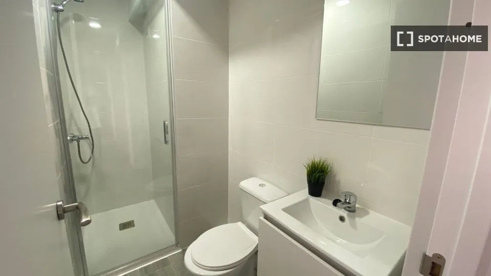 Vannitoad - Shared Flat with Terrace in San Andrés