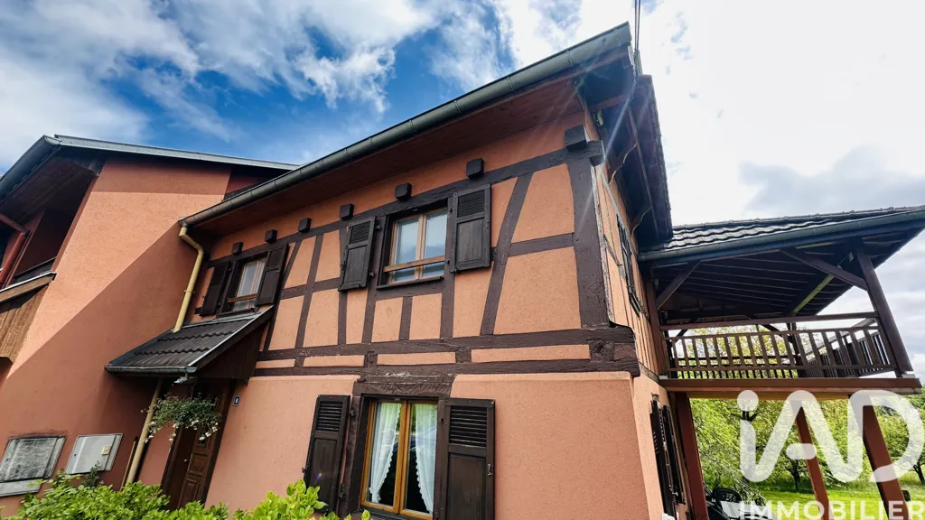 Extérieur - Duplex au Calme avec Terrasse à Pfetterhouse