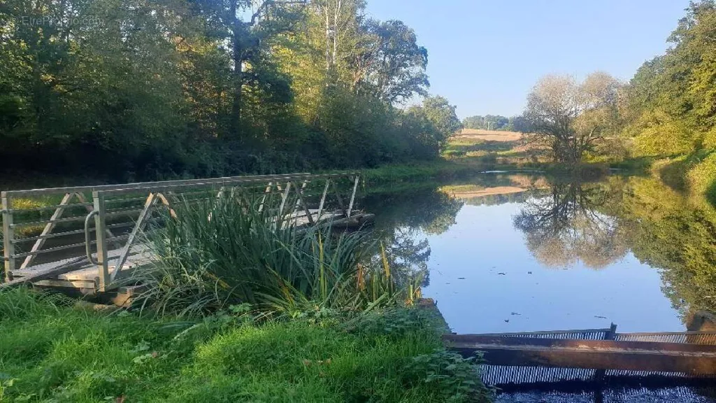 Extensive Land in Saint-Leonard-de-Noblat