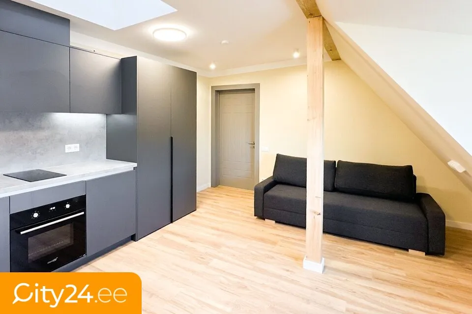 Elutuba - Furnished Studio in Art Nouveau Building, Riga Centre
