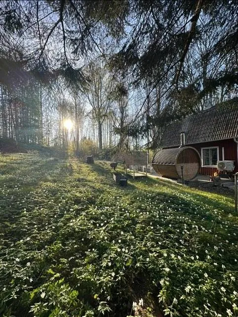 Jardin - Charming Cottage with Natural Setting in Ängsbacka