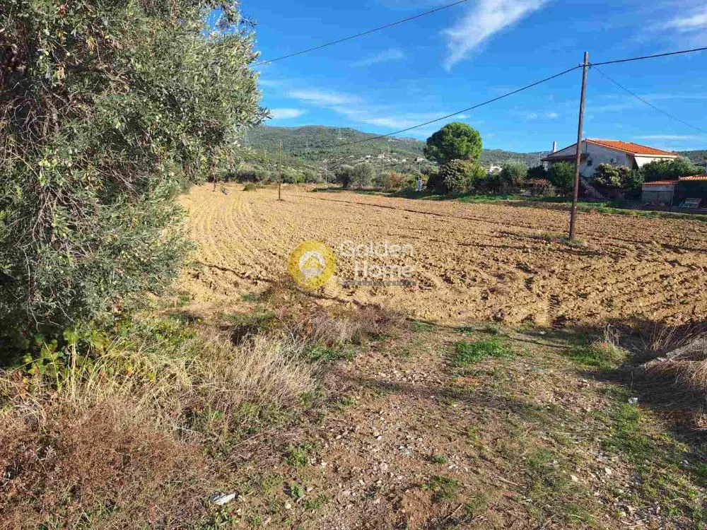 Jardin - Agricultural Plot with Unobstructed View in Chalkida