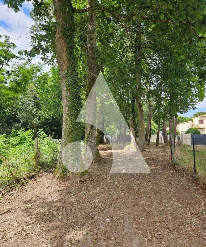 Aed - Constructible Plot with Garden in La Tremblade