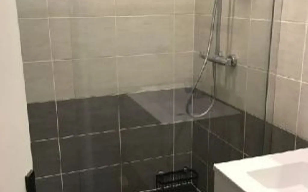 Salles de bain - Appartement Meublé en Colocation à Écully