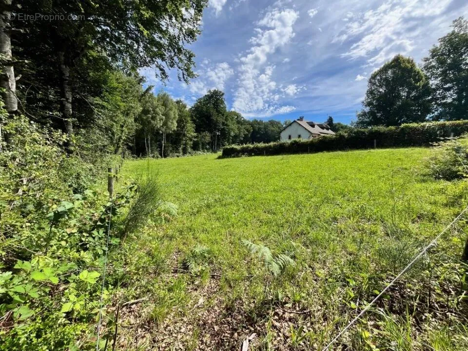 Garden - Sunny Plot with Woodland View in Roannes-Saint-Mary