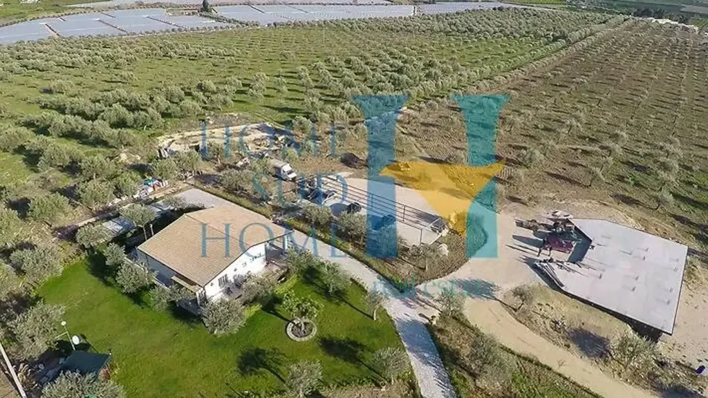 Aerial - Villa with Olive Grove in Noto