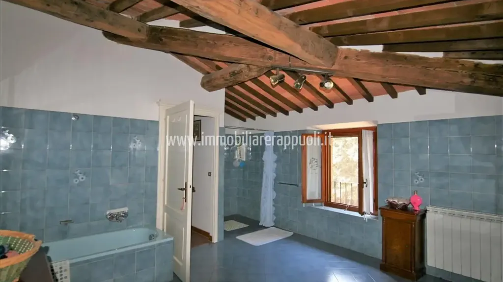 Bathrooms - Rustic House with Vineyard in Sinalunga