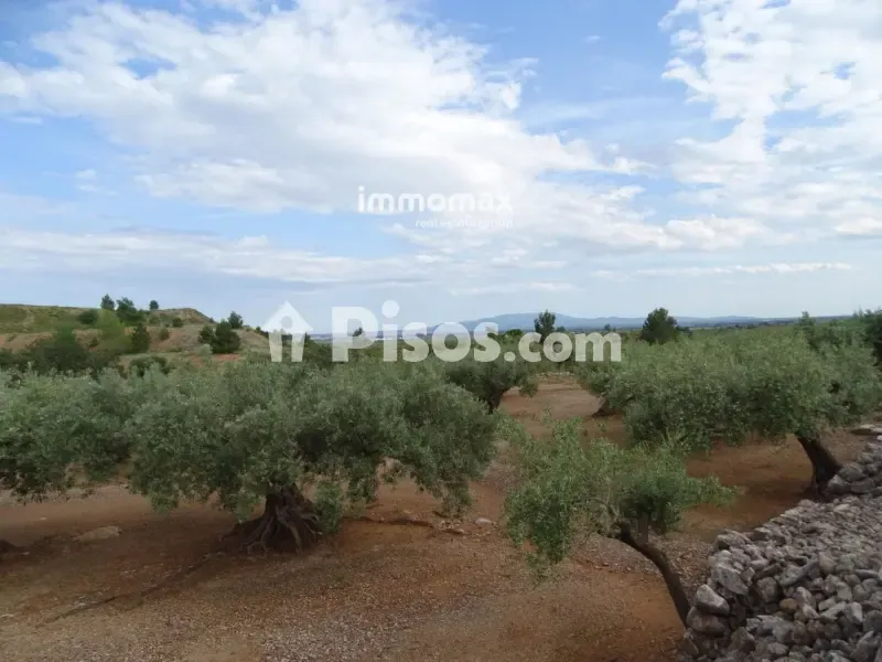 Aed - Rustic Farm with Olive Grove in Xerta