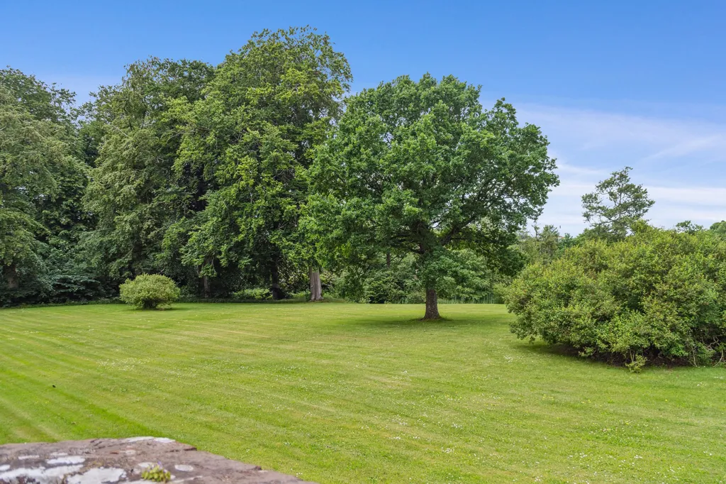 Jardin - Medieval Manor with Forest View in Djursland